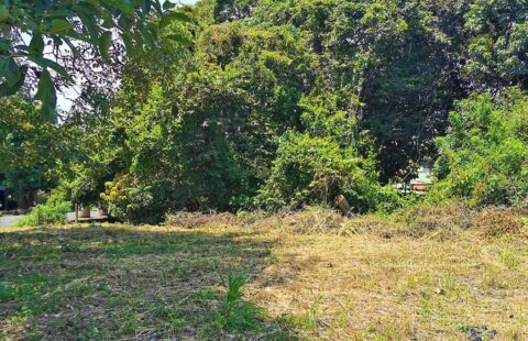 The entrepreneur’s workshop. Commercial lot 450 meters from Atenas